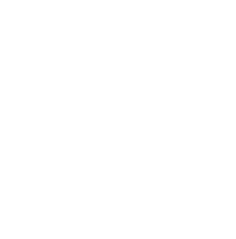 Vision